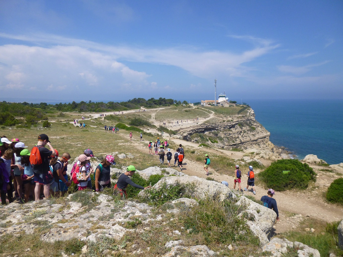 Photo de classes sur la falaise de la Franqui